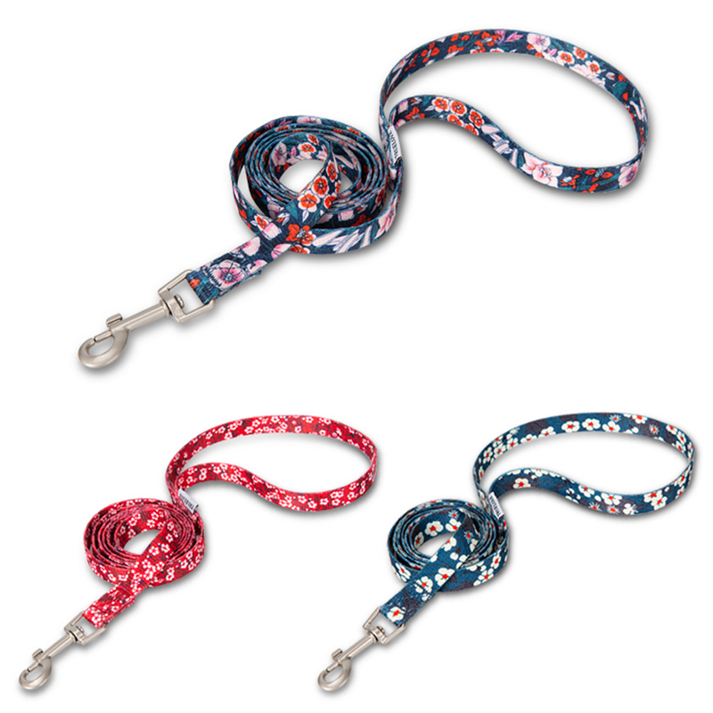 Winhyepet Haustierleine mit Bl – Ethnic Fashion Walk Bewertung und Preis